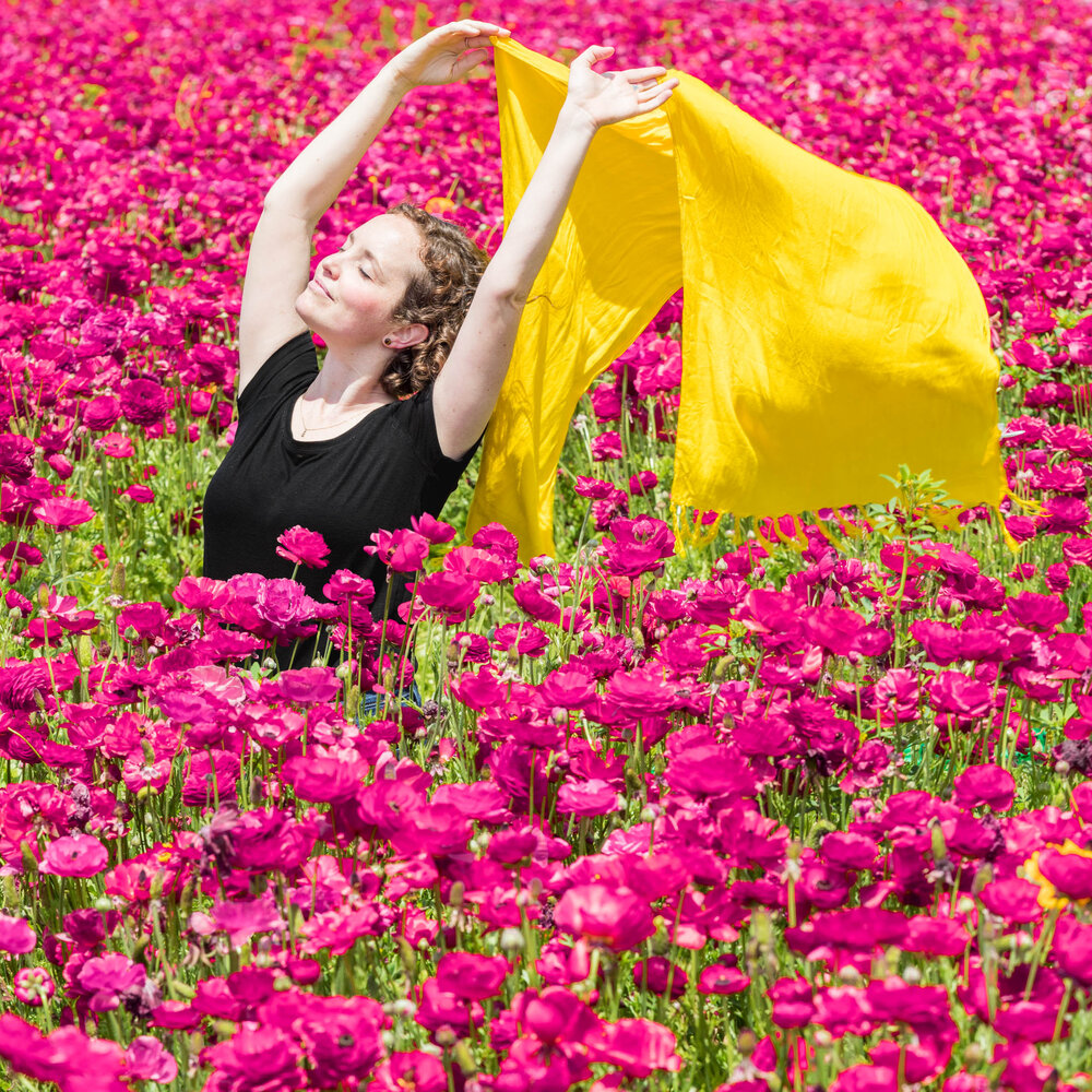 Flower Field-1243.jpg